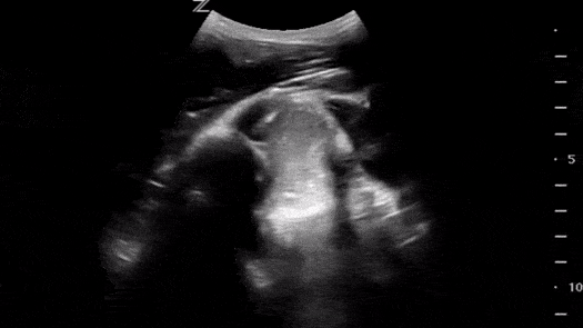 Home - Explore Our Library