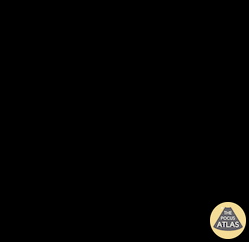 Musculoskeletal - Ligamentous Knee Injury