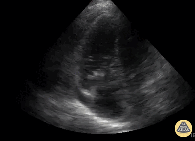 UPLOADS FOR REVIEW - 450